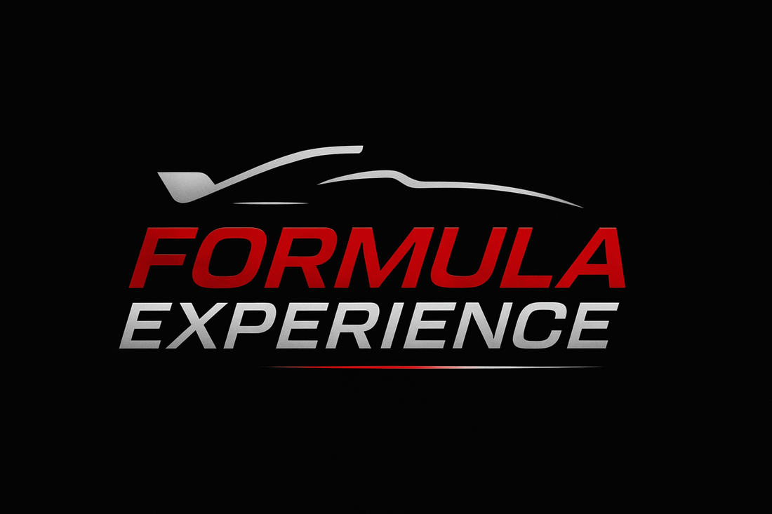 Formula Experience by Mercury Siver